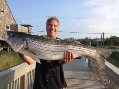 Chaz-Kingsley-catches-a-43-inch-striper-475×356