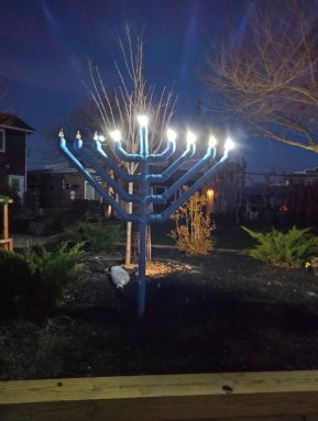 OB-Menorah-Night-Time