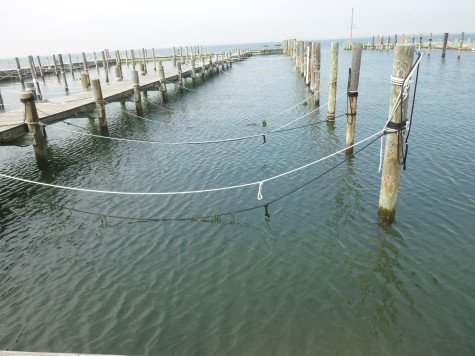 Emergency repair of pilings in the Ocean Beach marina was passed at the March 21 meeting. 