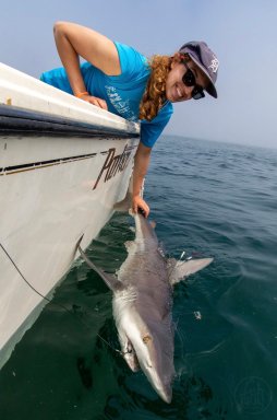 shark-selfie-SOFO