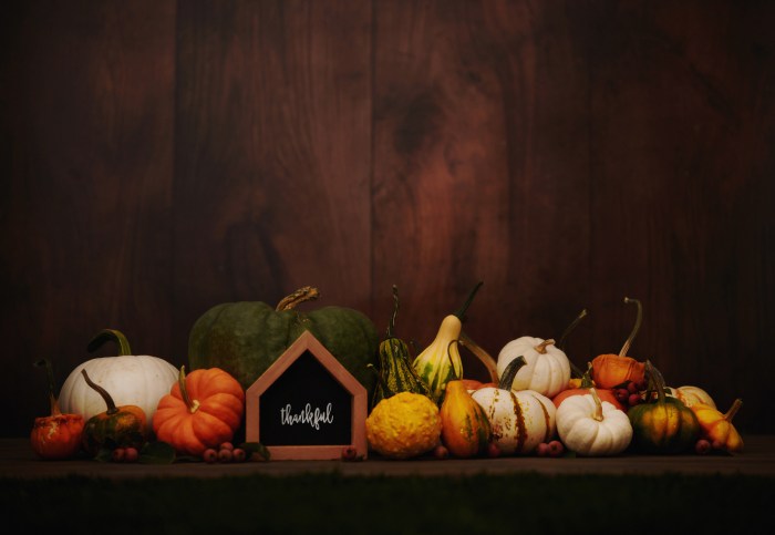 Thanksgiving and fall background with a house sign and the message THANKFUL amidst a collection of miniature pumpkins. Space for text.