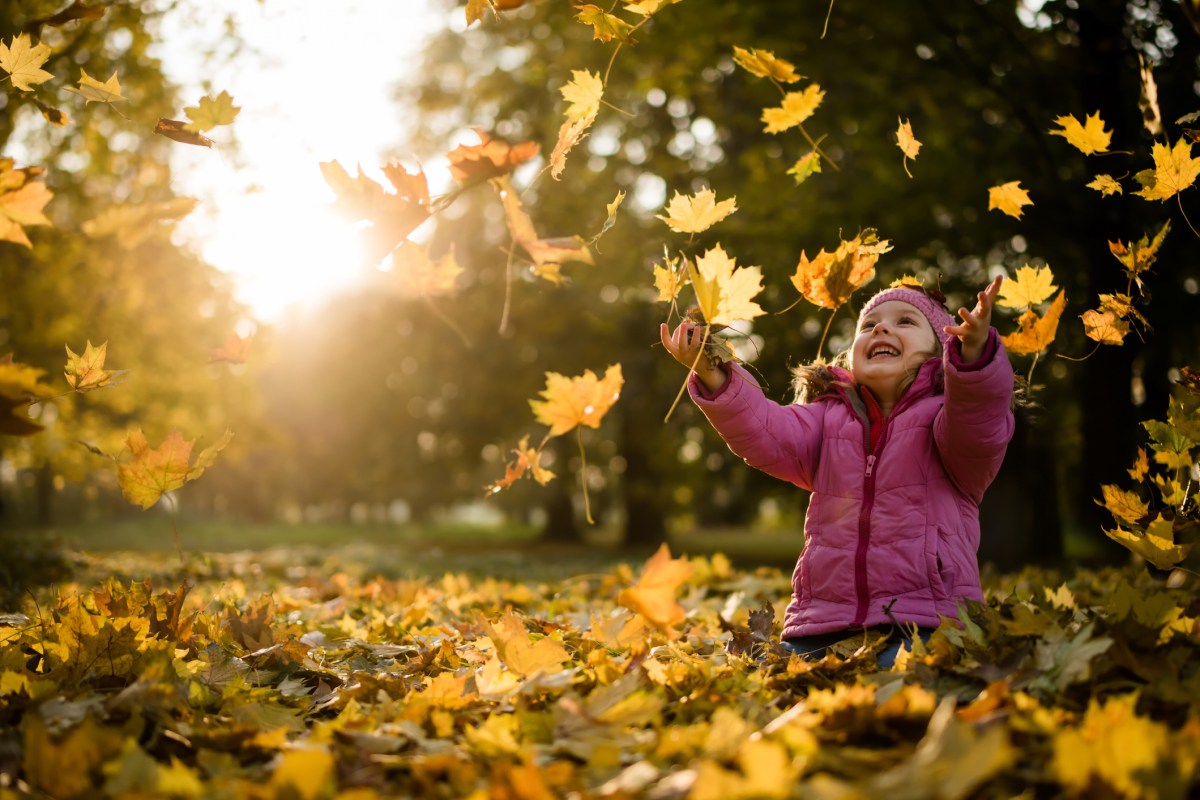 Playful kid throwing up leaves in park