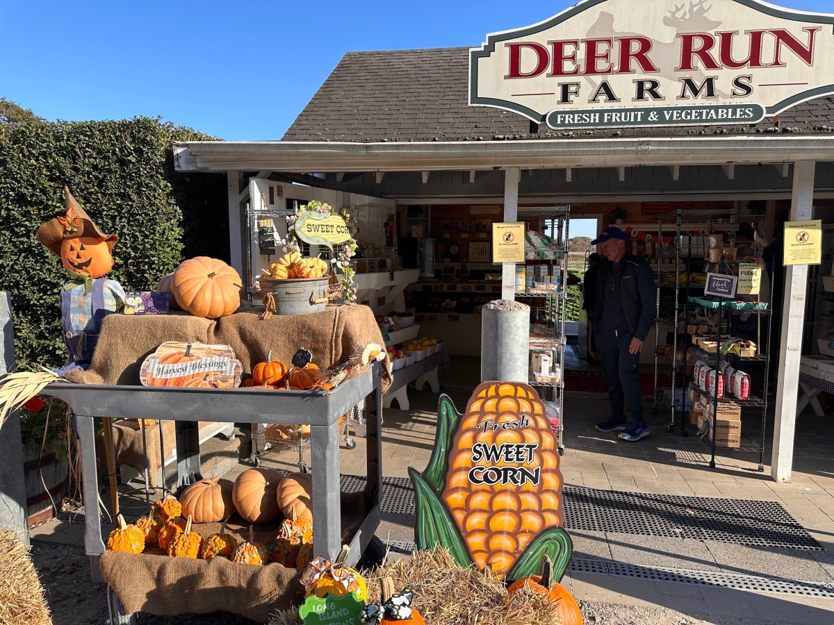 Bellport Farmstand