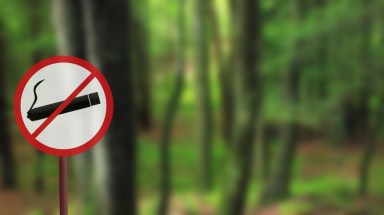 No smoking sign in the forest. Do not smoke outdoors. Protect the environment.