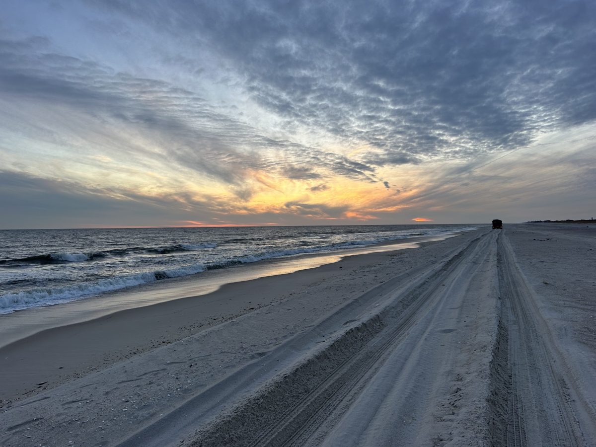 Fire Island National Seashore, Sailors Haven area